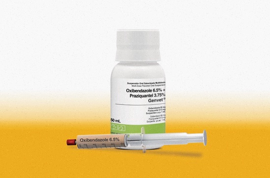 praziquantel